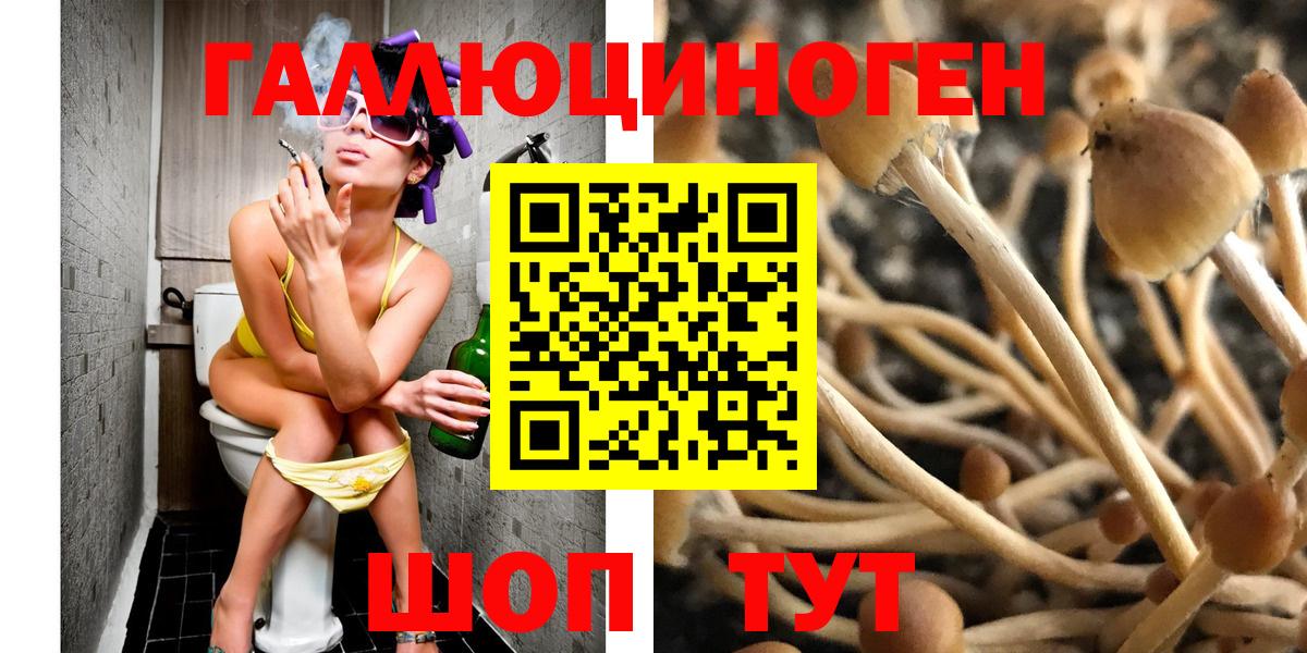 Псилоцибиновые грибы Psilocybe Россошь